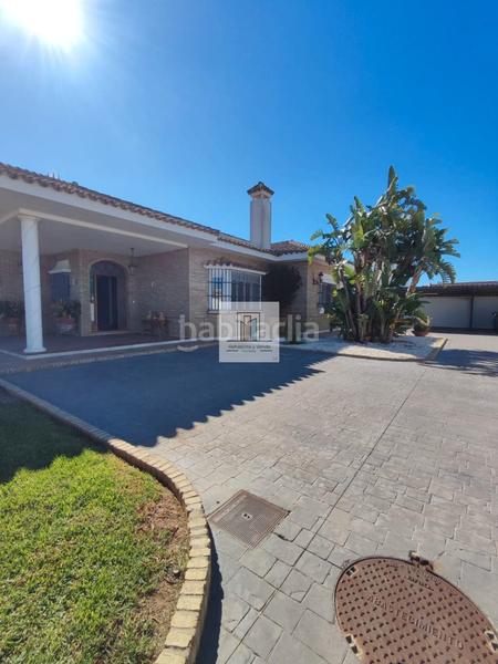 Foto 53184564-343a-41b2-9f02-3c60c13dc054. Chalet  independiente en rana verde en Las Lagunas - Campano Chiclana de la Frontera