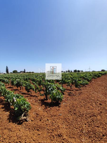 Foto 02072089-a8c7-46c4-b36d-bafd52d94828. Propriété dans Villanueva Golf Puerto Real