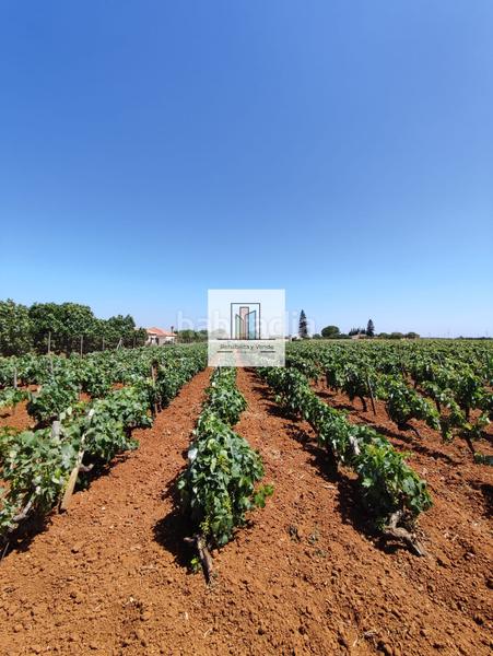 Foto 18a542ad-e6b7-4ae6-9833-407be0e6f3c4. Propriété dans Villanueva Golf Puerto Real