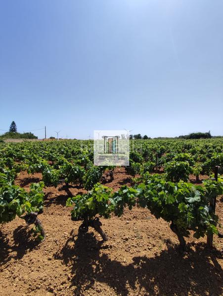 Foto 4eaf8c33-bf98-4c43-9377-463814ccc920. Propriété dans Villanueva Golf Puerto Real