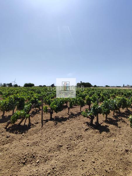 Foto 5f90bdbf-bc6b-4e28-b285-fb8d988fb27f. Propriété dans Villanueva Golf Puerto Real