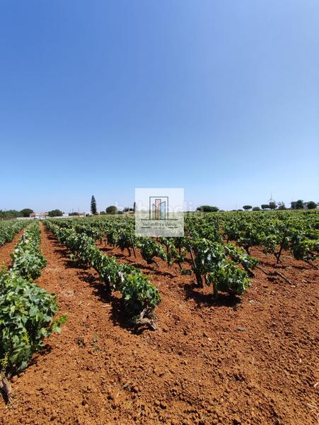 Foto b8d6edae-2f85-4c18-96e6-102d15c81660. Propriété dans Villanueva Golf Puerto Real