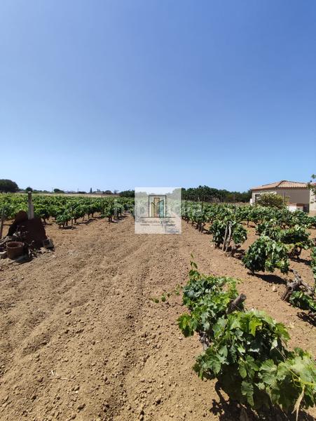 Foto dfdd5ed4-718c-4e47-9ed0-5e076426ccd1. Propriété dans Villanueva Golf Puerto Real