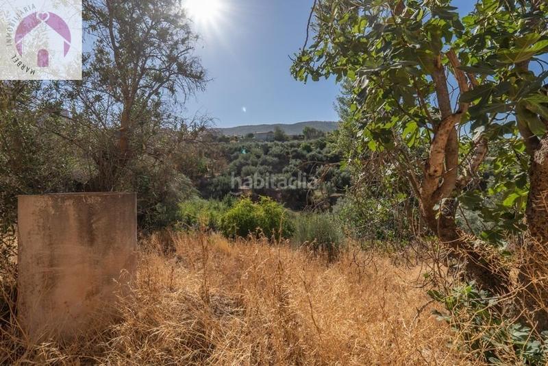 Foto 05ed156f-f13b-47c5-9c13-56e250857a9b. Mas dans polígono 7 paraje 143 huerta vieja 408 dans Cogollos de la Vega