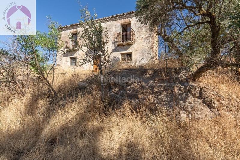 Foto 0cf12efb-530f-404a-a4b6-b271cd84f636. Mas dans polígono 7 paraje 143 huerta vieja 408 dans Cogollos de la Vega