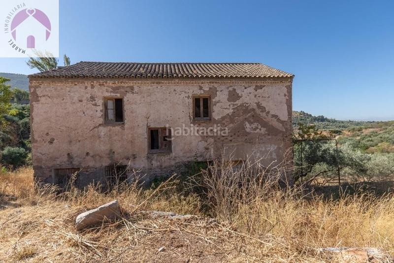 Foto 0f4dedc7-c9ee-4164-8001-934d0aaa078c. Mas dans polígono 7 paraje 143 huerta vieja 408 dans Cogollos de la Vega