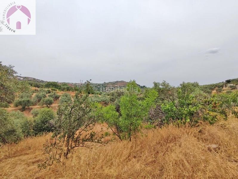 Foto 20918917-06e8-4eec-a75c-7849d3cb210c. Mas dans polígono 7 paraje 143 huerta vieja 408 dans Cogollos de la Vega