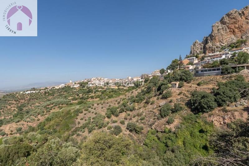 Foto 235282b1-e461-4847-8b58-880e865916c5. Mas dans polígono 7 paraje 143 huerta vieja 408 dans Cogollos de la Vega