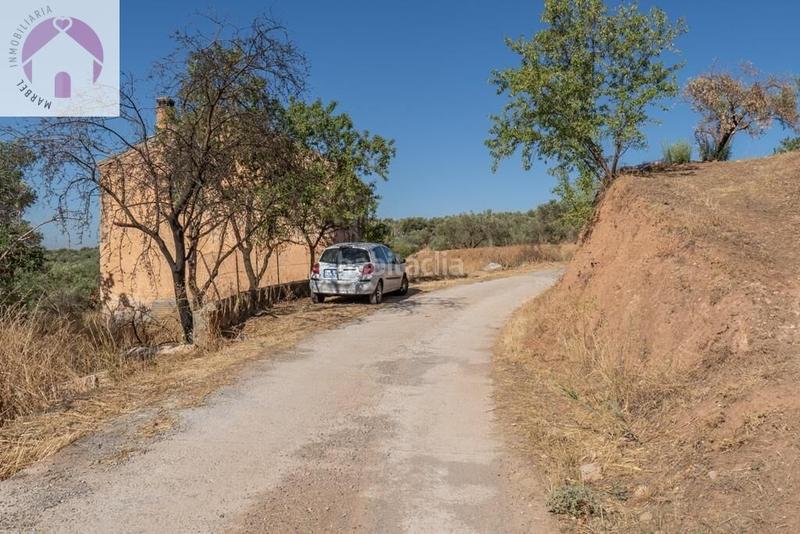 Foto 265d67ba-bacd-4734-977c-da3ad22a0192. Mas dans polígono 7 paraje 143 huerta vieja 408 dans Cogollos de la Vega