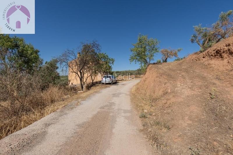 Foto 30e19fc8-2c4d-481f-a70e-e3f96d08b578. Mas dans polígono 7 paraje 143 huerta vieja 408 dans Cogollos de la Vega