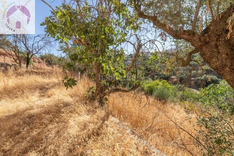 Foto 31954559-ebf7-4369-909a-ba2d7d55a7fa. Mas dans polígono 7 paraje 143 huerta vieja 408 dans Cogollos de la Vega