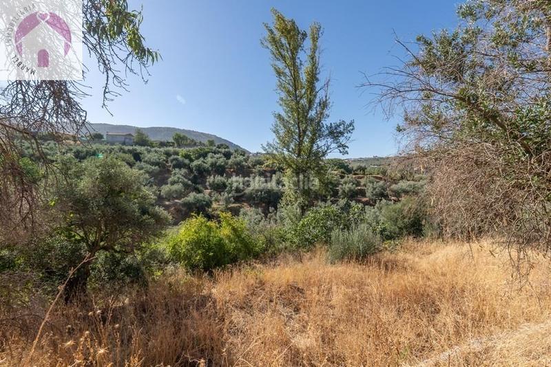 Foto 36c4a202-3660-49b1-93e2-a8d1c4e6fa3e. Mas dans polígono 7 paraje 143 huerta vieja 408 dans Cogollos de la Vega