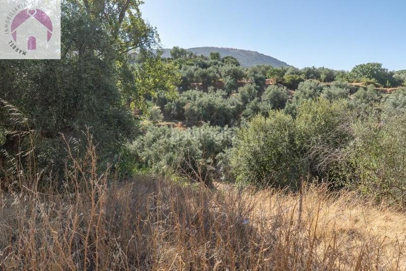 Foto 3ec16160-9b21-42c1-8cf4-30dfb4db5558. Mas dans polígono 7 paraje 143 huerta vieja 408 dans Cogollos de la Vega