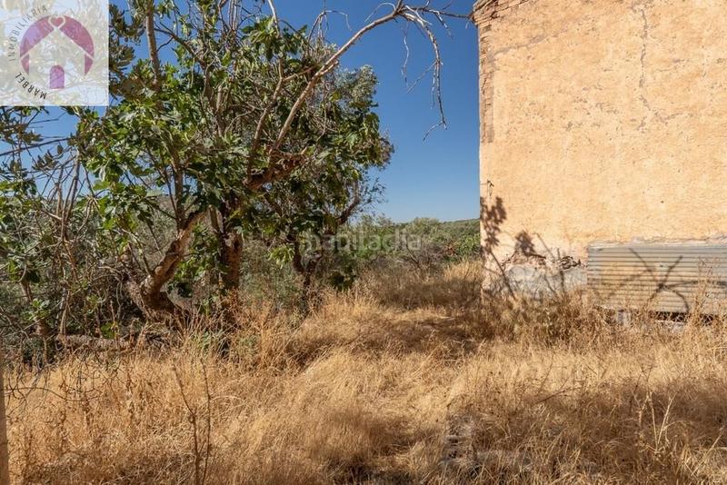 Foto 4a5fc502-b98e-469d-add4-22367cdb3bf9. Mas dans polígono 7 paraje 143 huerta vieja 408 dans Cogollos de la Vega