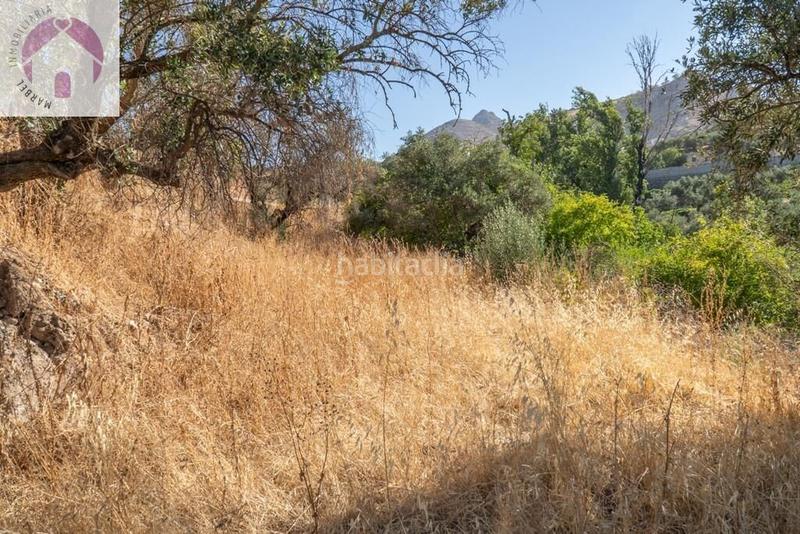 Foto 4bf9ffe9-3a52-4b5b-bcad-7d7463b767e0. Mas dans polígono 7 paraje 143 huerta vieja 408 dans Cogollos de la Vega