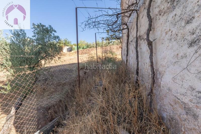 Foto 519e69ae-7520-45fa-98b2-576f4298247e. Mas dans polígono 7 paraje 143 huerta vieja 408 dans Cogollos de la Vega