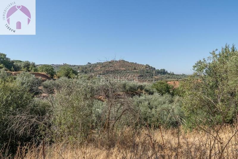 Foto 52ed50e4-2f22-48a5-8e2e-d1a94c1ac90e. Mas dans polígono 7 paraje 143 huerta vieja 408 dans Cogollos de la Vega