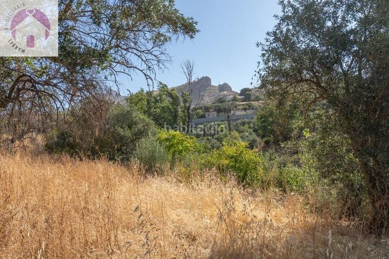 Foto 57244126-0a4a-4a23-976b-75e015b2b31c. Mas dans polígono 7 paraje 143 huerta vieja 408 dans Cogollos de la Vega