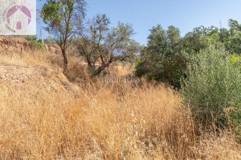 Foto 62e8b227-adb1-43b9-99f9-b18056a305d2. Mas dans polígono 7 paraje 143 huerta vieja 408 dans Cogollos de la Vega