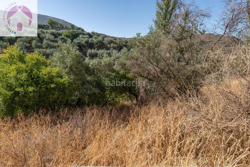 Foto 66c4bc45-77f6-4ac6-9125-dbd44bf1b4f6. Mas dans polígono 7 paraje 143 huerta vieja 408 dans Cogollos de la Vega