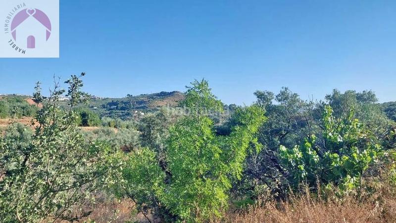 Foto 8506b7ad-e6cc-4063-9ad8-29f8da2c7264. Mas dans polígono 7 paraje 143 huerta vieja 408 dans Cogollos de la Vega