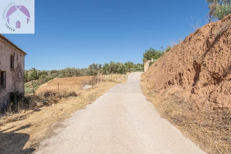 Foto 86a375b7-a1ef-437e-ac16-c5ffd0a6d81c. Mas dans polígono 7 paraje 143 huerta vieja 408 dans Cogollos de la Vega