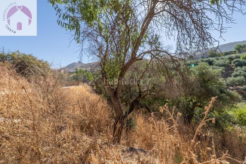 Foto 91767aa7-1d83-490b-8aea-680c0264a3cf. Mas dans polígono 7 paraje 143 huerta vieja 408 dans Cogollos de la Vega