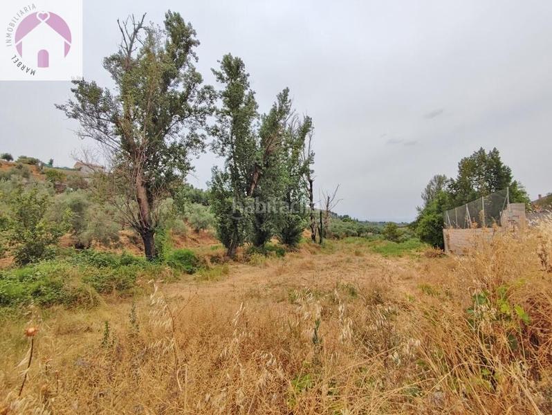 Foto 92611a15-b71b-47d8-ab93-6e3f84ce22a7. Mas dans polígono 7 paraje 143 huerta vieja 408 dans Cogollos de la Vega