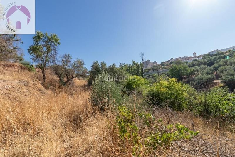 Foto 92d4511e-d585-4302-a28c-daee2594dcc4. Mas dans polígono 7 paraje 143 huerta vieja 408 dans Cogollos de la Vega