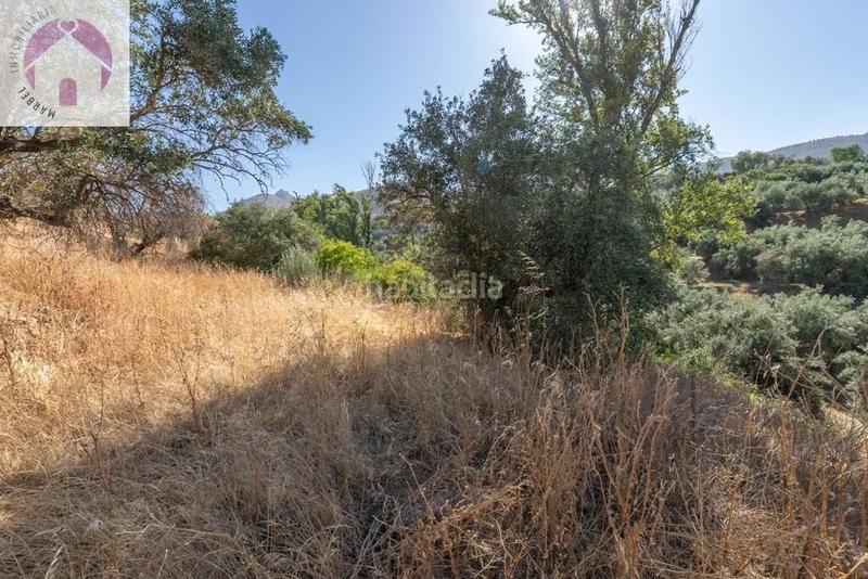 Foto 99620c01-293f-4e75-9fb0-63095b7b57f2. Mas dans polígono 7 paraje 143 huerta vieja 408 dans Cogollos de la Vega