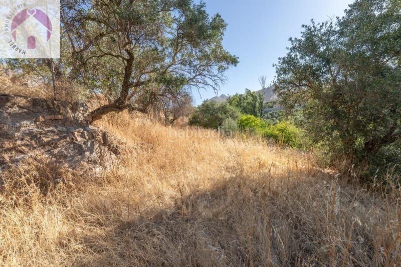 Foto 9bb79764-bf93-4f3f-b5f7-656be0178959. Mas dans polígono 7 paraje 143 huerta vieja 408 dans Cogollos de la Vega