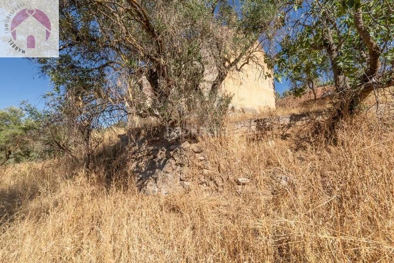 Foto 9cbfed40-31a6-4da3-8ffe-78f0d36fb0ab. Mas dans polígono 7 paraje 143 huerta vieja 408 dans Cogollos de la Vega