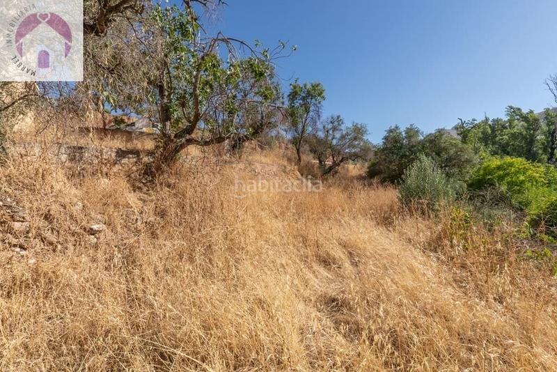 Foto 9f87c217-0d07-4901-a25a-2a74efc7c016. Mas dans polígono 7 paraje 143 huerta vieja 408 dans Cogollos de la Vega