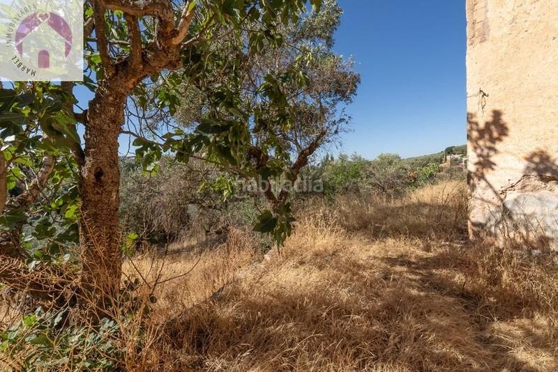 Foto a59d5db7-8a54-4087-9f41-df1cc0c1bd1d. Mas dans polígono 7 paraje 143 huerta vieja 408 dans Cogollos de la Vega