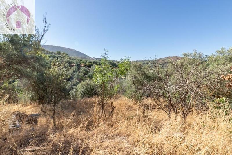 Foto a7912a34-b46a-4946-8815-39709dd3bea2. Mas dans polígono 7 paraje 143 huerta vieja 408 dans Cogollos de la Vega