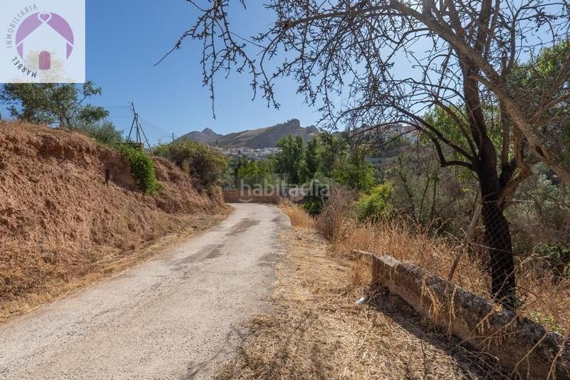 Foto ad1f67ed-d689-481d-bd6d-b692b2f405d0. Mas dans polígono 7 paraje 143 huerta vieja 408 dans Cogollos de la Vega