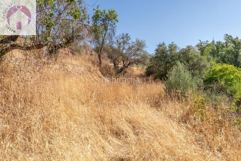 Foto b330e38f-4461-4a87-8201-0a52c2c893a5. Mas dans polígono 7 paraje 143 huerta vieja 408 dans Cogollos de la Vega