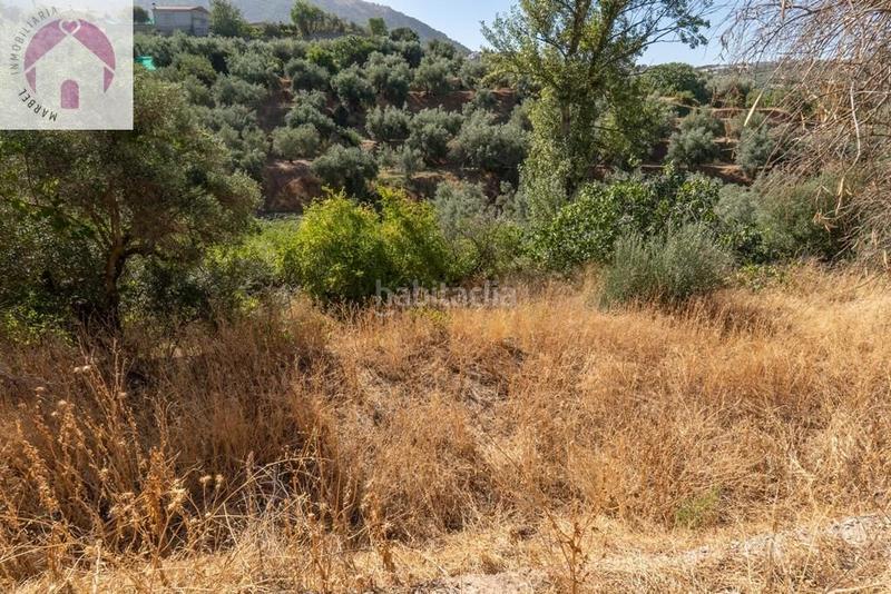 Foto b3572e92-1fe4-4bd5-a835-c5f47ec8a9cb. Mas dans polígono 7 paraje 143 huerta vieja 408 dans Cogollos de la Vega