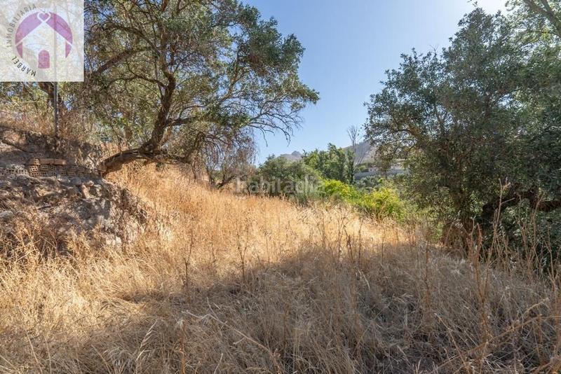 Foto b62052c9-e092-4210-9545-bd2c92035b8c. Mas dans polígono 7 paraje 143 huerta vieja 408 dans Cogollos de la Vega