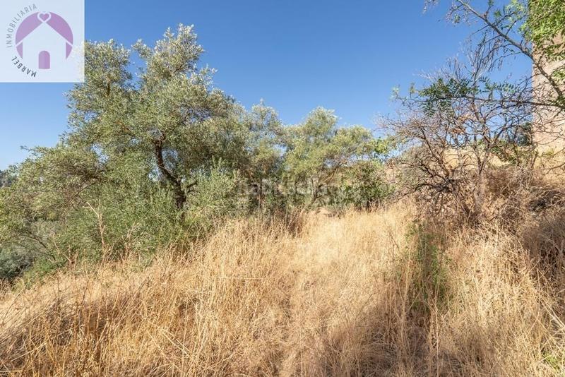 Foto bbbaa9a8-e985-4c4c-8eb3-c76b8f8e6baf. Mas dans polígono 7 paraje 143 huerta vieja 408 dans Cogollos de la Vega