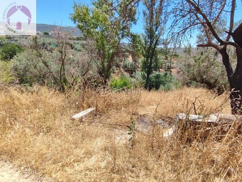 Foto c381abce-2d90-4cbf-b526-78faa06cc843. Mas dans polígono 7 paraje 143 huerta vieja 408 dans Cogollos de la Vega