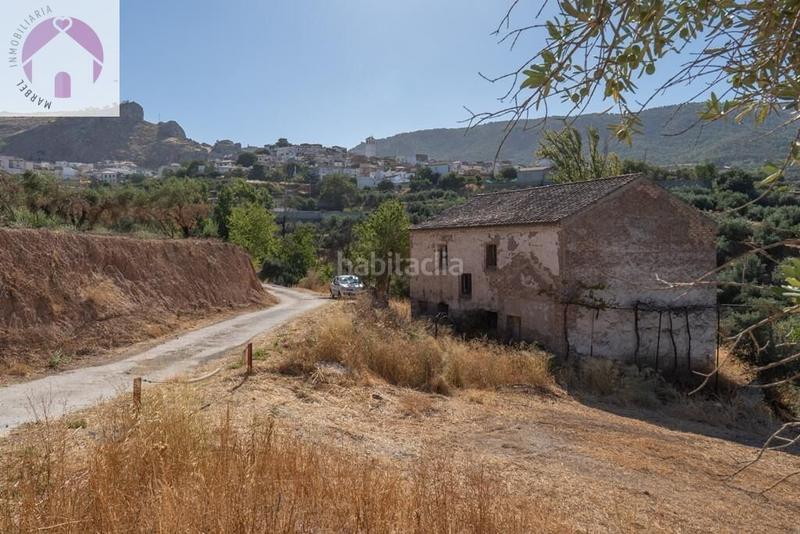 Foto c6502e65-f57c-4ded-88bc-556f01759ff6. Mas dans polígono 7 paraje 143 huerta vieja 408 dans Cogollos de la Vega
