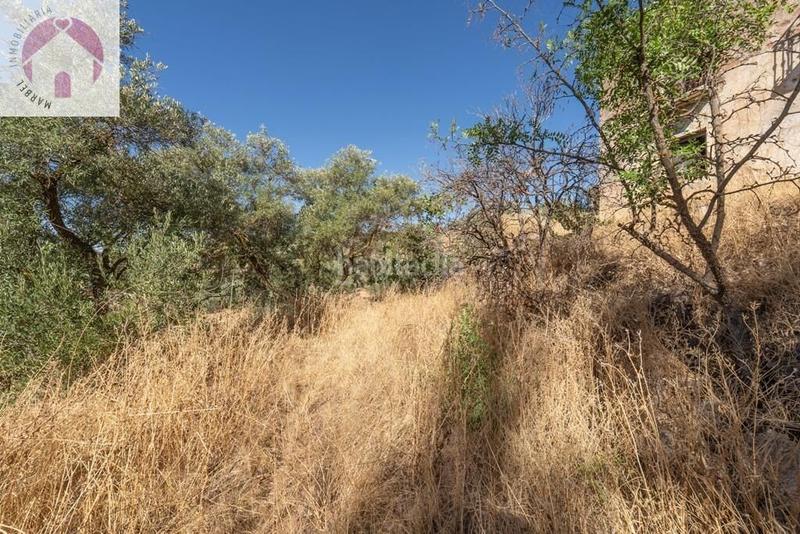 Foto c9a6bfde-f57e-474b-a14b-c34db935e424. Mas dans polígono 7 paraje 143 huerta vieja 408 dans Cogollos de la Vega