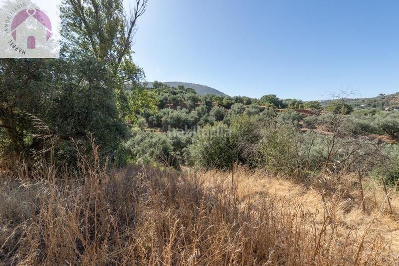 Foto cc10d168-5b1e-40b5-a7cd-e0b7b2593414. Mas dans polígono 7 paraje 143 huerta vieja 408 dans Cogollos de la Vega