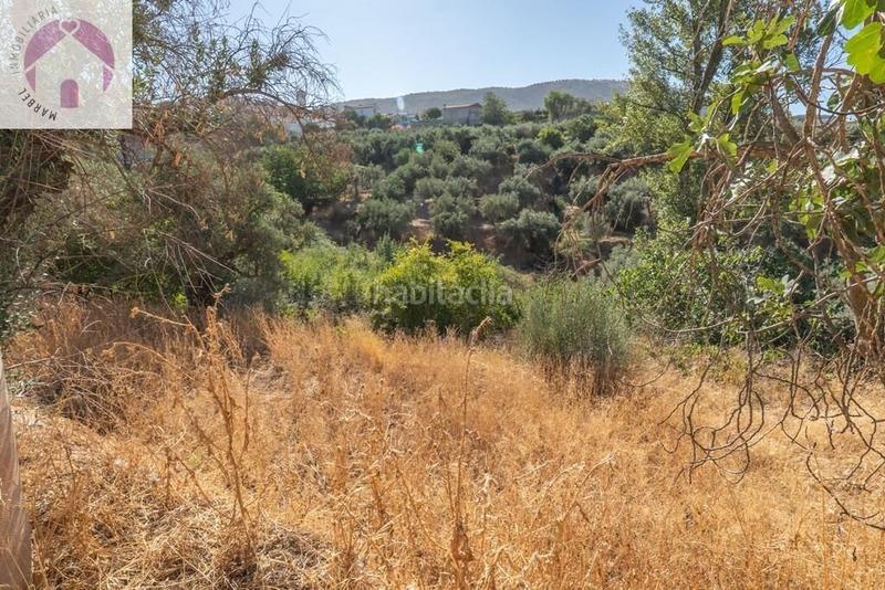 Foto e7053b31-b1b9-45a5-9dd5-ae1bf250761e. Mas dans polígono 7 paraje 143 huerta vieja 408 dans Cogollos de la Vega