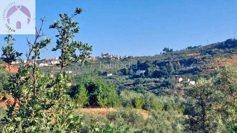 Foto e9187a9d-f602-4be2-a8c0-11308eb35245. Mas dans polígono 7 paraje 143 huerta vieja 408 dans Cogollos de la Vega