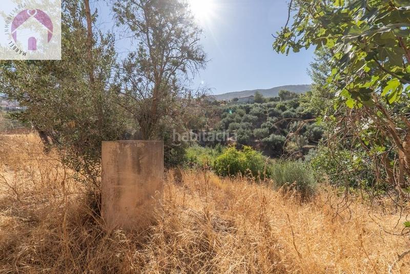 Foto edf5750b-29dc-41bb-a1fc-5d3edb906999. Mas dans polígono 7 paraje 143 huerta vieja 408 dans Cogollos de la Vega