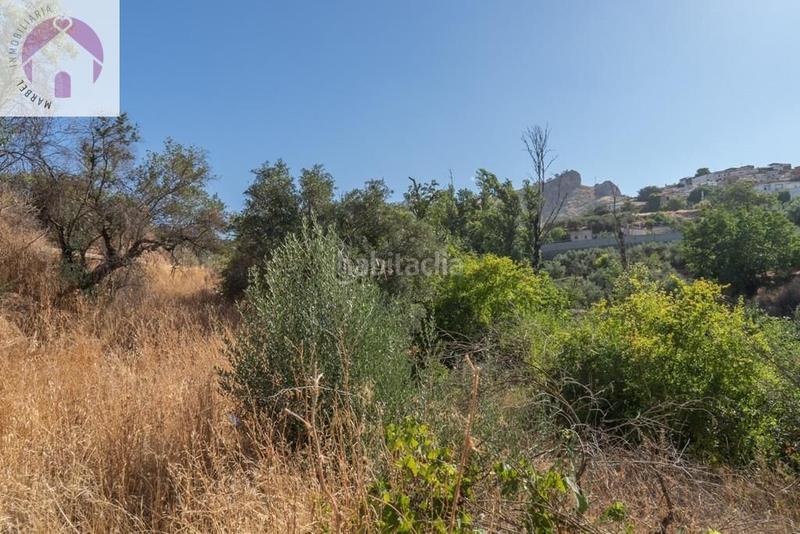 Foto f0835acf-8f69-49df-b662-0ca776d5f54b. Mas dans polígono 7 paraje 143 huerta vieja 408 dans Cogollos de la Vega