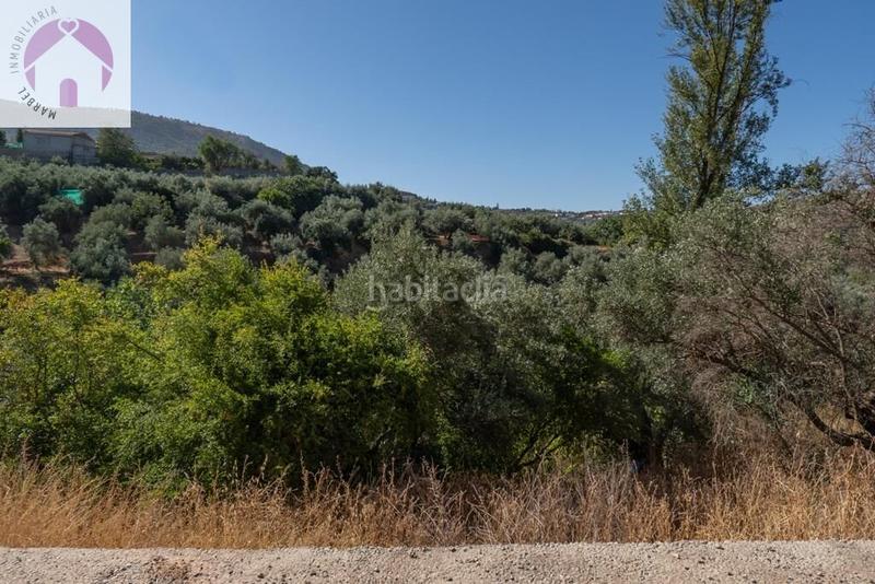 Foto f5dce833-ff28-4964-afa1-345392336553. Mas dans polígono 7 paraje 143 huerta vieja 408 dans Cogollos de la Vega