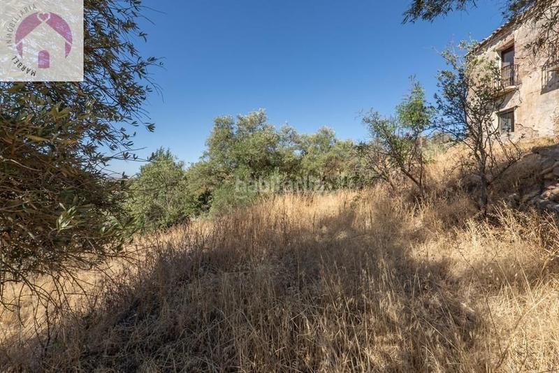 Foto f8dde09d-99f8-42b9-83eb-5d8e5c40c61f. Mas dans polígono 7 paraje 143 huerta vieja 408 dans Cogollos de la Vega